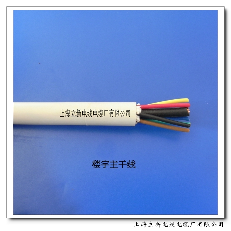 樓宇主干線