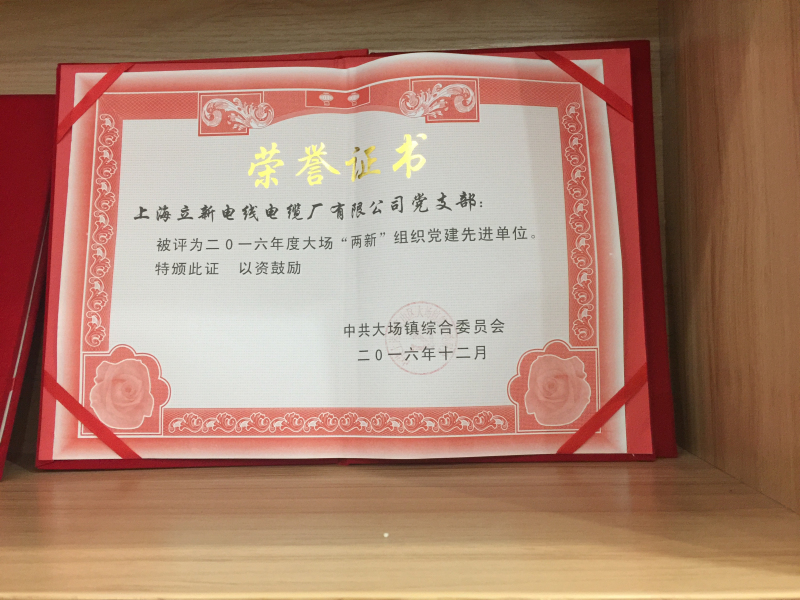喜獲2016年度大場鎮(zhèn)"兩新"黨建先進單位殊榮